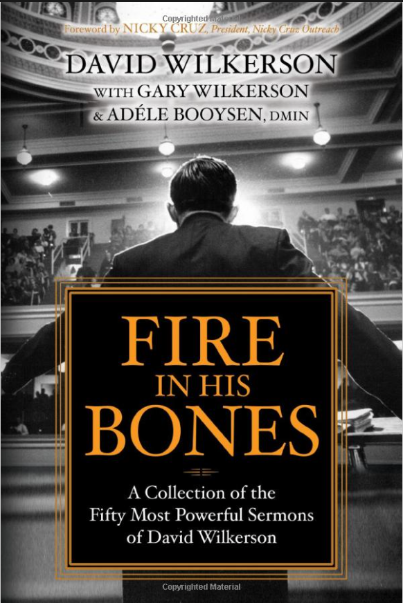Book Cover - Fire in His Bones